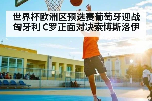 世界杯欧洲区预选赛葡萄牙迎战匈牙利 C罗正面对决索博斯洛伊